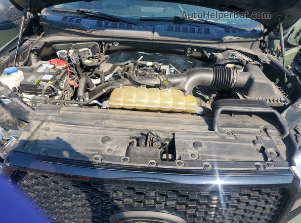 1FTEW1EP8KFB59655 2019 FORD F150 Green უკანა სალონის ხედი