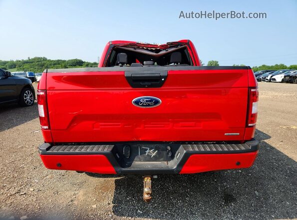 1FTEW1EP8KFC04271 2019 FORD F150 Red Widok z tyłu