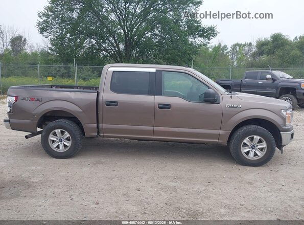 1FTEW1EP8KKD76937 2019 FORD F150 Brown Вид задньої частини салону