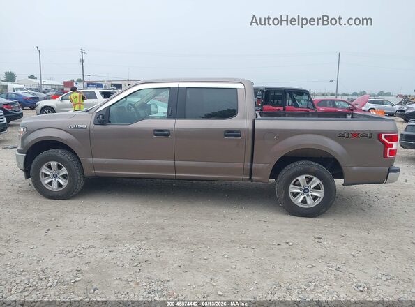 1FTEW1EP8KKD76937 2019 FORD F150 Brown Панорамний вид салону 360°