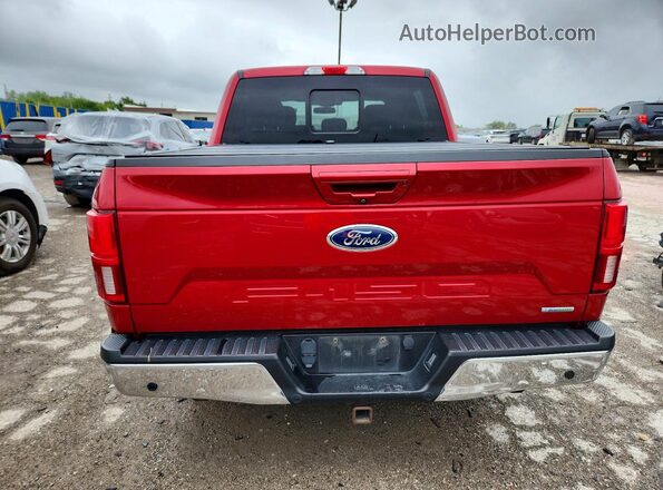 1FTEW1EP8LFA36441 2020 FORD F150 Красный Вид сзади