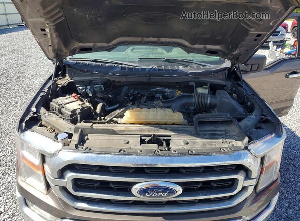 1FTEW1EP8MFB75583 2021 FORD F150 Brown Սալոնի հետևի տեսք
