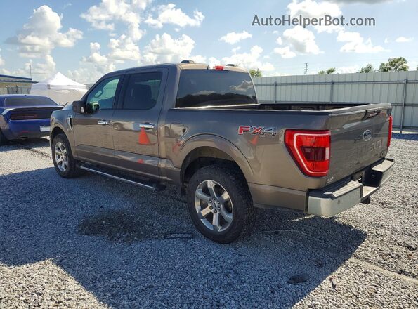 1FTEW1EP8MFB75583 2021 FORD F150 Brown Հետևի ձախ