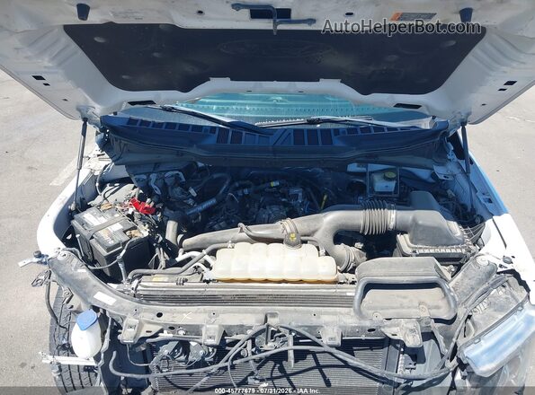 1FTEW1EP8MKE83375 2021 FORD F150 Белый Вид сзади
