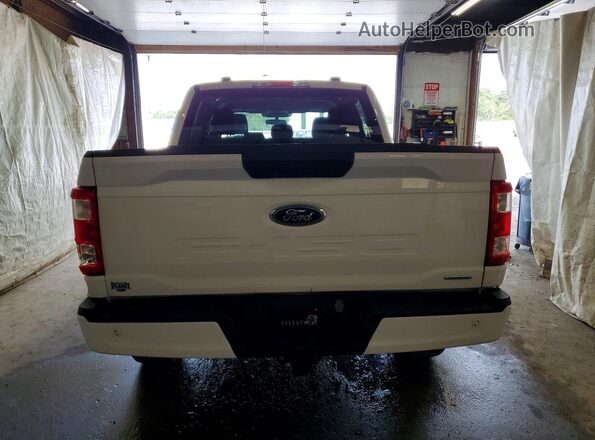 1FTEW1EP8PKE20216 2023 FORD F150 Белый Вид подкапотного пространства