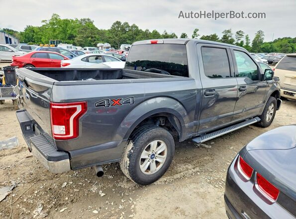 1FTEW1EP9HFA02189 2017 FORD F150 Gray უკანა მარჯვენა