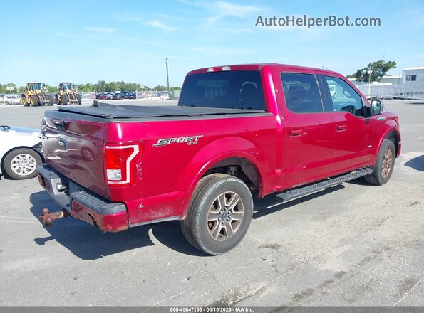 1FTEW1EP9HKD95005 2017 FORD F150 Burgundy Rear right