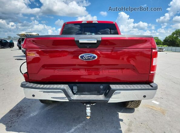 1FTEW1EP9KFD52414 2019 FORD F150 Red Widok z tyłu