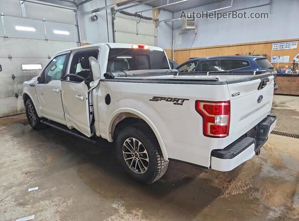 1FTEW1EP9LKD10172 2020 FORD F150 White Задня ліва чверть