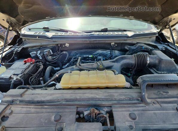 1FTEW1EP9LKD19941 2020 FORD F150 Серый Вид задней части салона