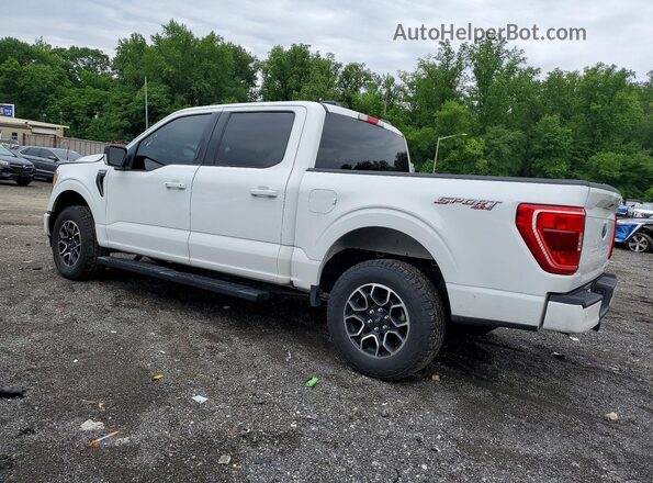 1FTEW1EP9PFB11489 2023 FORD F150 White უკანა მარცხენა