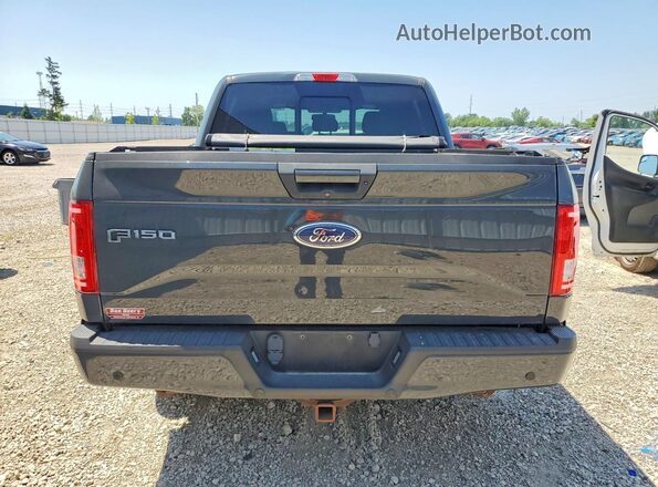 1FTEW1EPXGKF30362 2016 FORD F150 Gray უკანა ხედი