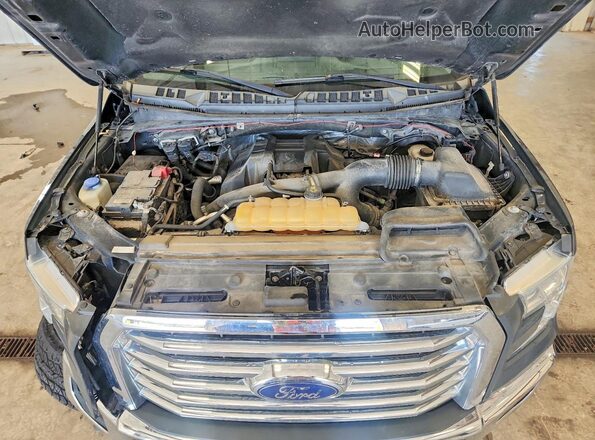 1FTEW1EPXHKC52144 2017 FORD F150 Gray Rear interior view