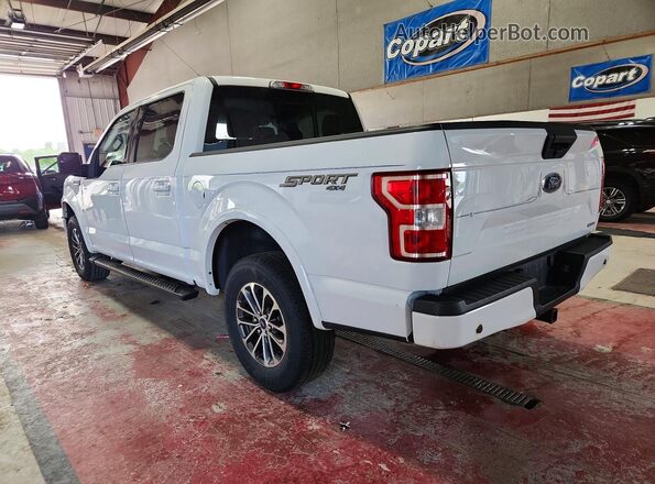 1FTEW1EPXKFB14491 2019 FORD F150 White Задня ліва чверть