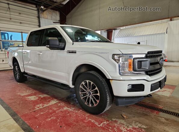 1FTEW1EPXKFB14491 2019 FORD F150 White Передня права чверть