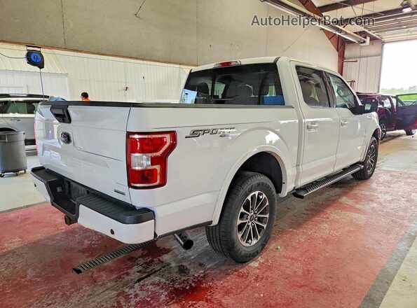 1FTEW1EPXKFB14491 2019 FORD F150 White Задня права чверть
