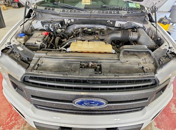 1FTEW1EPXKFB14491 2019 FORD F150 White Вид задньої частини салону