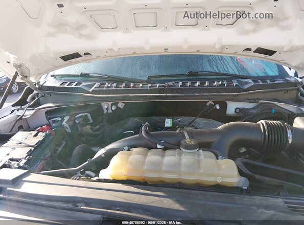 1FTEW1EPXKKC31849 2019 FORD F150 White Հետևի տեսք