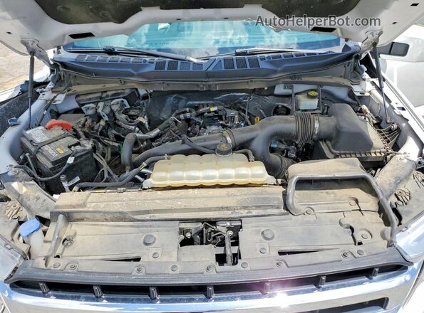 1FTEW1EPXMFA65800 2021 FORD F150 White Սալոնի հետևի տեսք