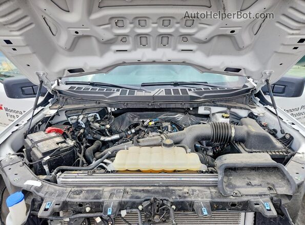 1FTEW1LP6SKD59945 2025 FORD F150 Белый Вид задней части салона