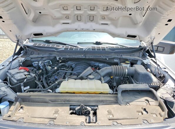 1FTEW2K54RFA57501 2024 FORD F150 White Вид задньої частини салону