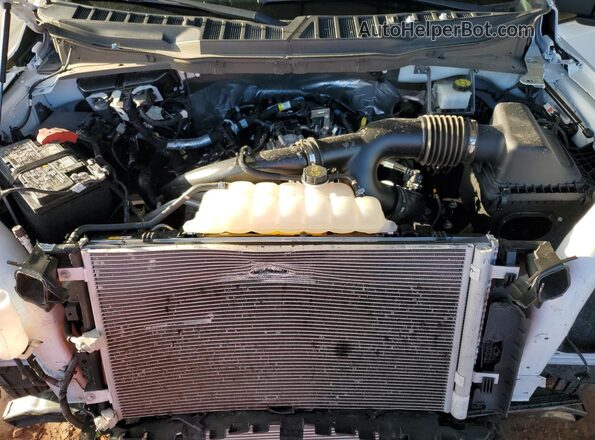 1FTEW2KP5RKD27358 2024 FORD F150 Белый Вид задней части салона