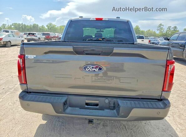 1FTEW2KP8SKD22869 2025 FORD F150 Gray უკანა ხედი