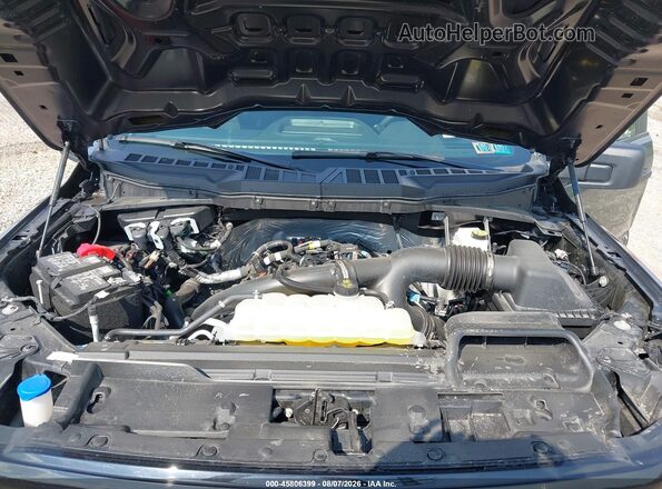 1FTEW2LP3SKD03306 2025 FORD F150 Серый Вид сзади