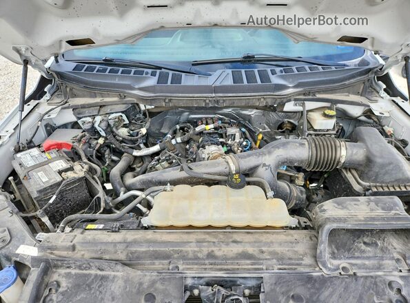 1FTEW2LP4RKE61695 2024 FORD F150 White Սալոնի հետևի տեսք