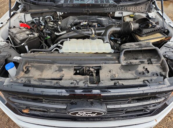 1FTEW2LP5RKE64105 2024 FORD F150 White Widok wnętrza z tyłu
