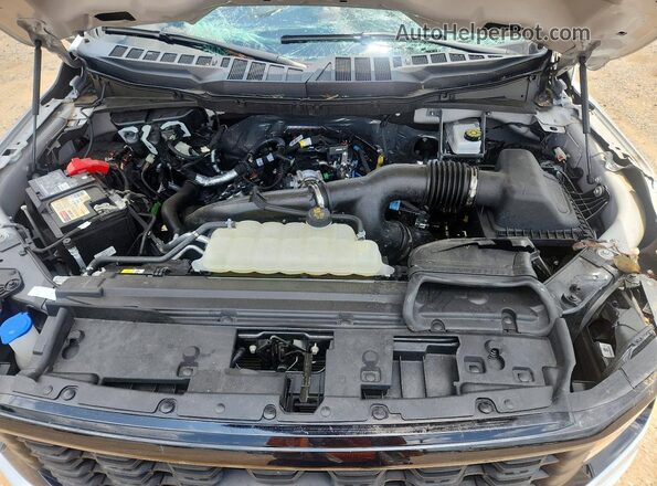 1FTEW2LP6SKD29981 2025 FORD F150 White Սալոնի հետևի տեսք