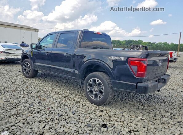 1FTEW2LP6SKD94443 2025 FORD F150 Black უკანა მარცხენა