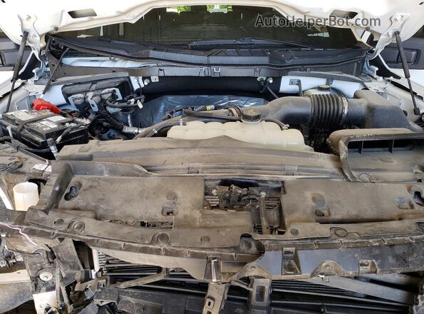 1FTEW2LP9RKD25028 2024 FORD F150 White Սալոնի հետևի տեսք