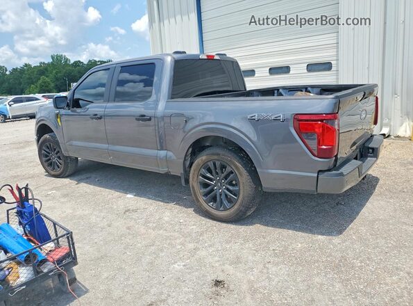1FTEW2LP9SKE93127 2025 FORD F150 Charcoal Задня ліва чверть