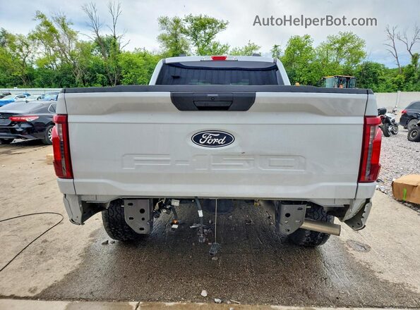 1FTEW2LPXSKF42271 2025 FORD F150 Gray Вид ззаду