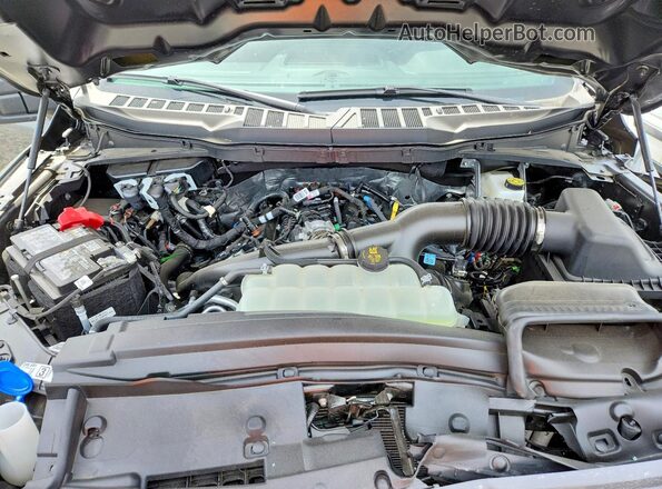 1FTEW2LPXTKD22940 2026 FORD F150 Gray Widok wnętrza z tyłu