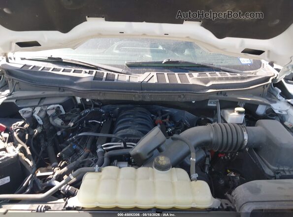 1FTEW3K55RKE39159 2024 FORD F150 White Вид ззаду