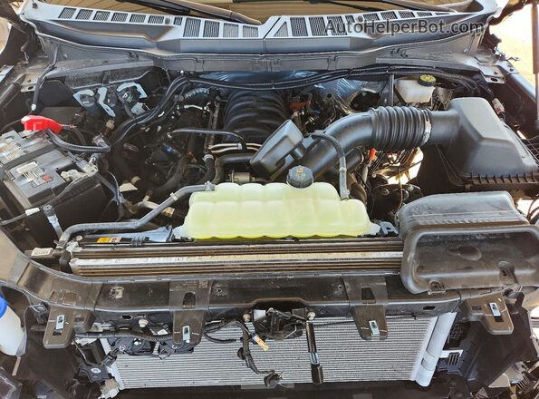 1FTEW3K56RFC20719 2024 FORD F150 Black Вид задньої частини салону