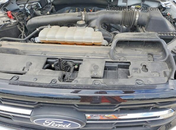 1FTEW3K81SKD39737 2025 FORD F150 White Widok wnętrza z tyłu