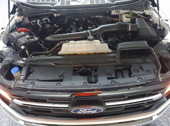 1FTEW3K87SKE76990 2025 FORD F150 White უკანა სალონის ხედი