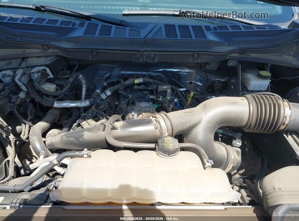 1FTEW3KP3RFA57156 2024 FORD F150 Gray Widok z tyłu