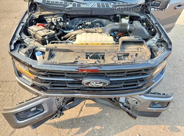 1FTEW3LP1RKE99634 2024 FORD F150 Gray Вид задньої частини салону