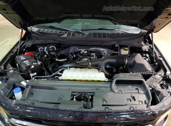 1FTEW3LP2RKD56353 2024 FORD F150 Silver Вид задньої частини салону