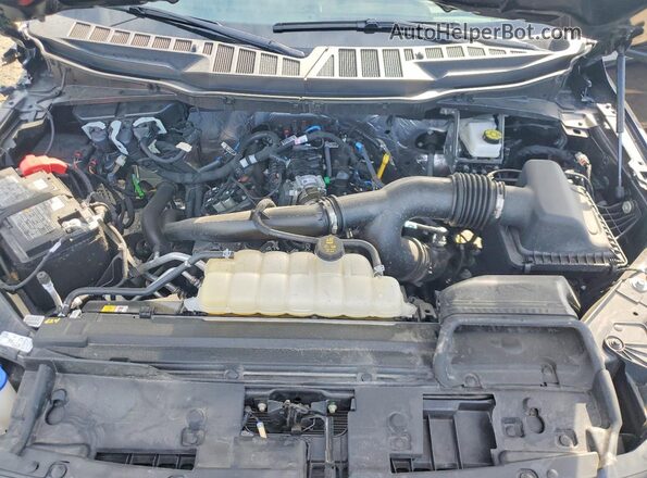 1FTEW3LP5SKF43088 2025 FORD F150 Black Вид задньої частини салону