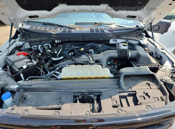 1FTEW3LP6SKD33549 2025 FORD F150 White Widok wnętrza z tyłu
