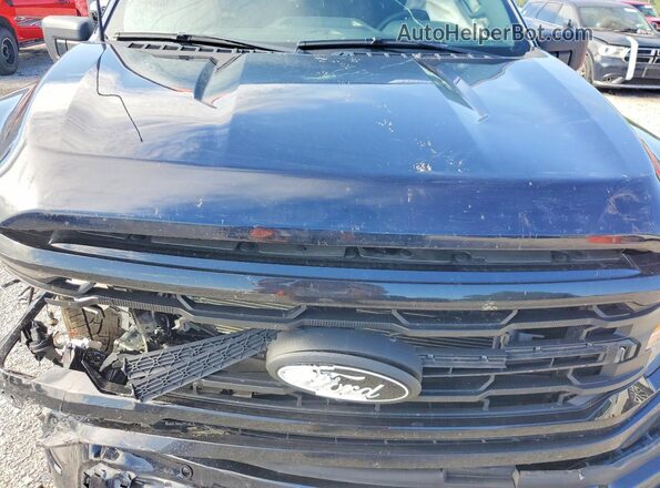 1FTEW3LP7SKE02359 2025 FORD F150 Blue Սալոնի հետևի տեսք