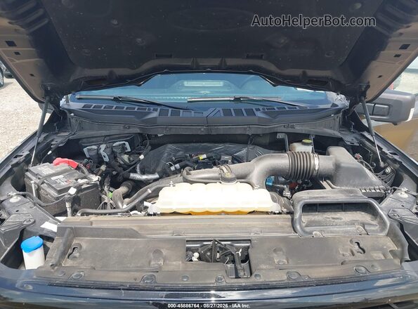 1FTEW3LP9RKE20209 2024 FORD F150 Gray Հետևի տեսք