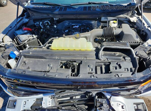 1FTEW3LP9SKF62081 2025 FORD F150 Gray Սալոնի հետևի տեսք