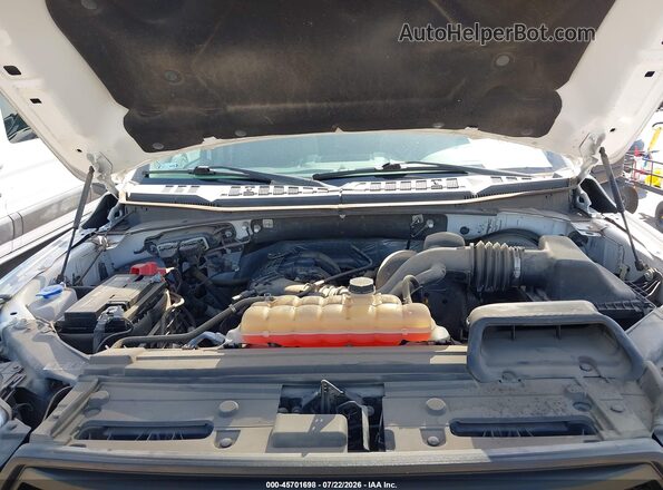 1FTEX1C88HKD49724 2017 FORD F150 Белый Вид сзади