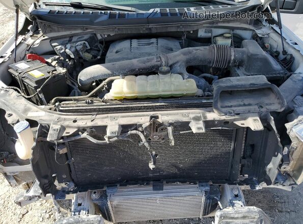 1FTEX1C8XMKE52069 2021 FORD F150 Белый Вид задней части салона